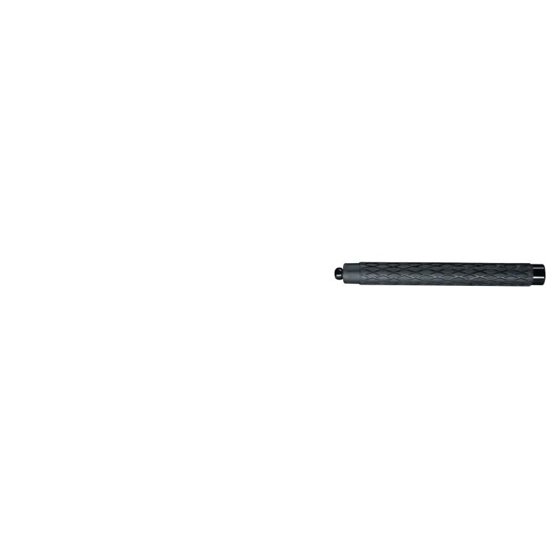 PERFECTA ProSecur Abwehrstock TDB26n 660g