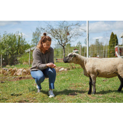 IVANHOE NLS TWIG Full Zip Nutmeg