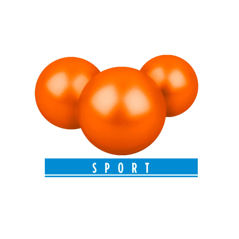 T4E Farbkugeln PAB 43 Sport Kaliber .43 - 500 Stück orange