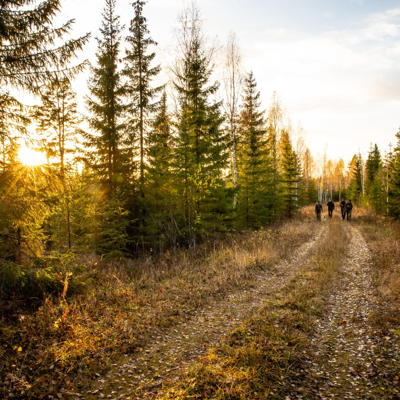 FJÄLLRÄVEN RIFLE CASE Futteral Dark Olive
