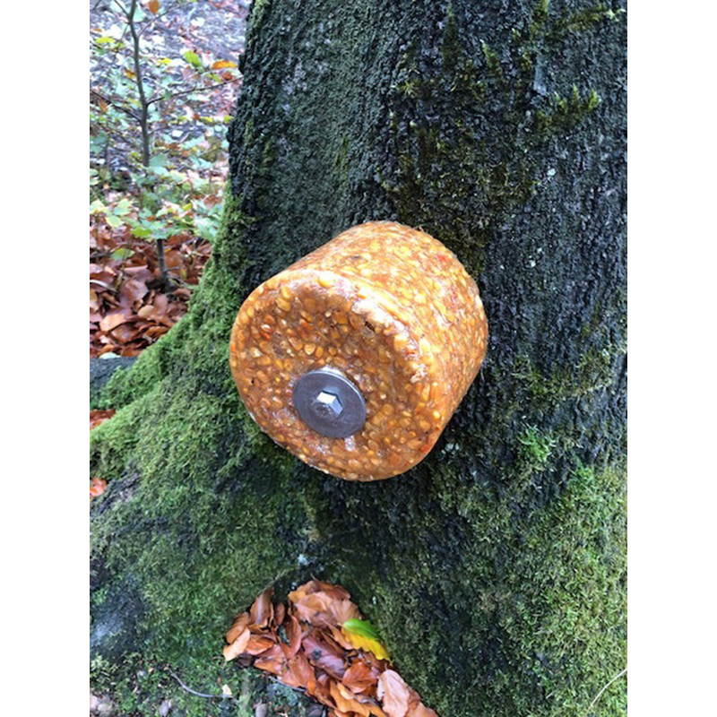 WILDLUTSCHER Spezial Leckstein "Süßer Mais"